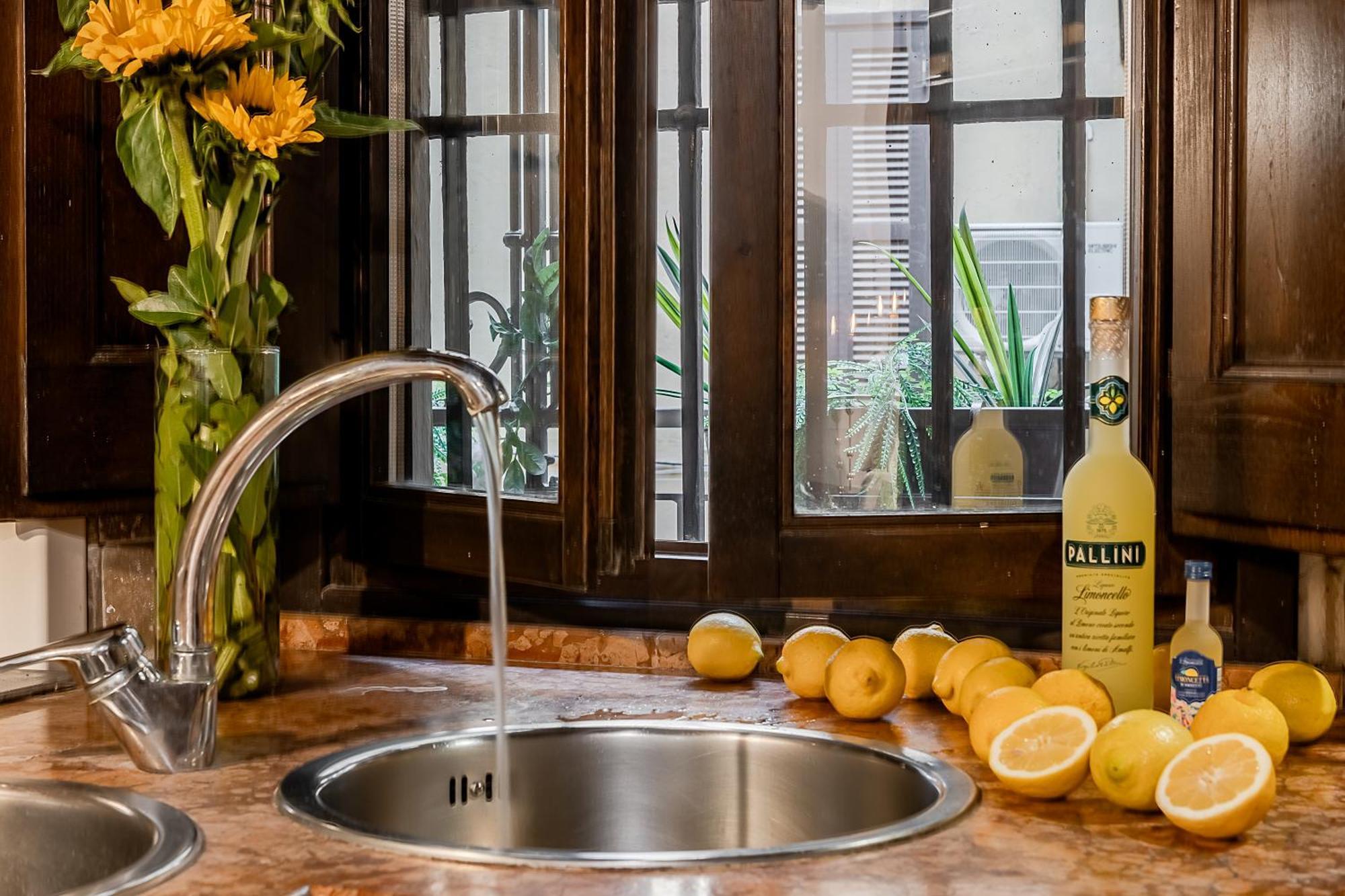 Trevi Fountain Stylish Apartamento